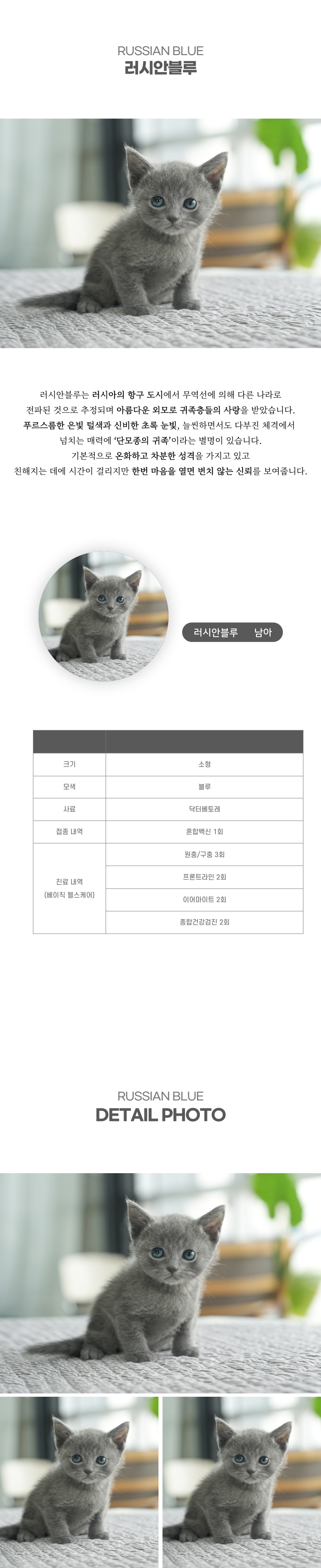 러시안블루_상세이미지_2